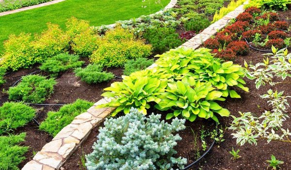 Les erreurs à éviter lorsque l'on décore son jardin